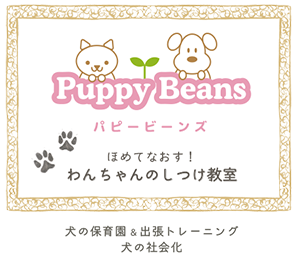 ほめて育てるしつけ教室 Puppy Beans(パピービーンズ)公式サイトはこちら